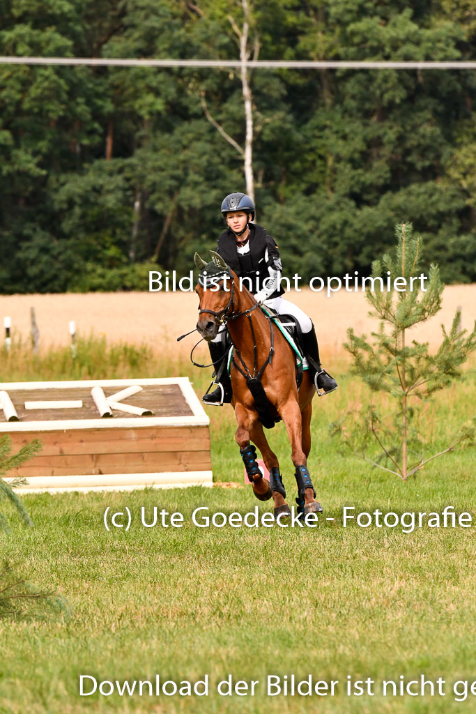 Goldene Schärpe Ponys in Hohenberg Krusemark 2024 | 13072024 Gelände 1 Abt_129 