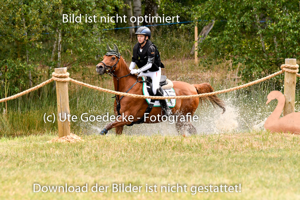 Goldene Schärpe Ponys in Hohenberg Krusemark 2024 | 13072024 Gelände 1 Abt_130