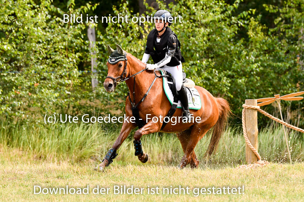 Goldene Schärpe Ponys in Hohenberg Krusemark 2024 | 13072024 Gelände 1 Abt_131