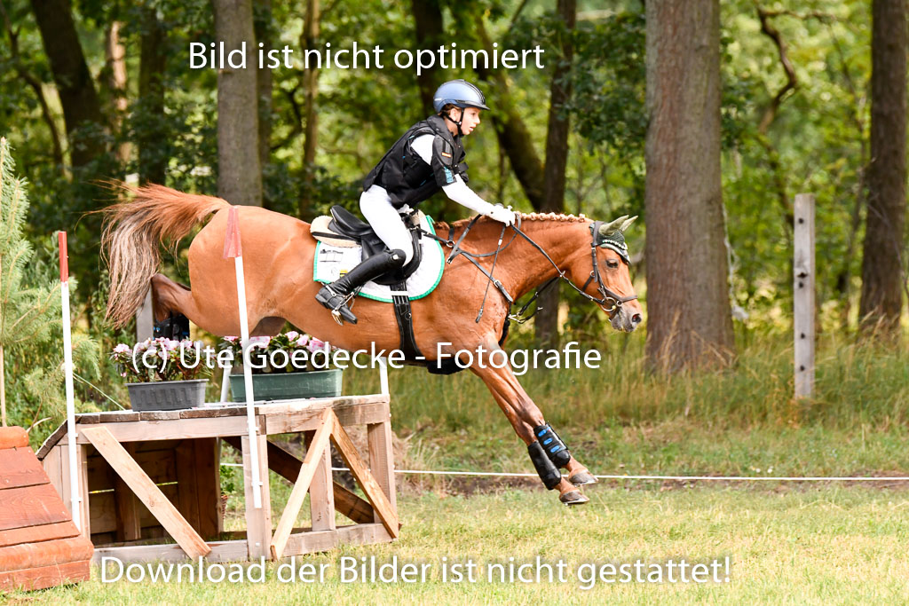 Goldene Schärpe Ponys in Hohenberg Krusemark 2024 | 13072024 Gelände 1 Abt_134