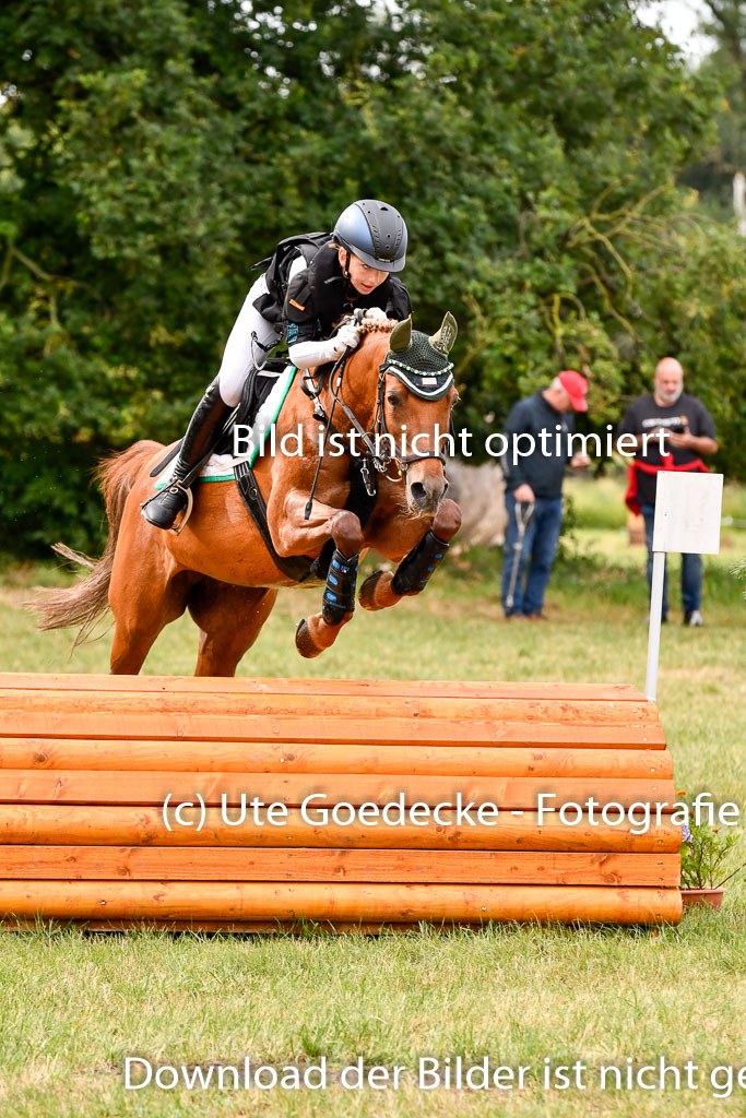 Goldene Schärpe Ponys in Hohenberg Krusemark 2024 | 13072024 Gelände 1 Abt_136 