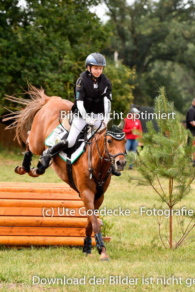 Goldene Schärpe Ponys in Hohenberg Krusemark 2024 | 13072024 Gelände 1 Abt_137 