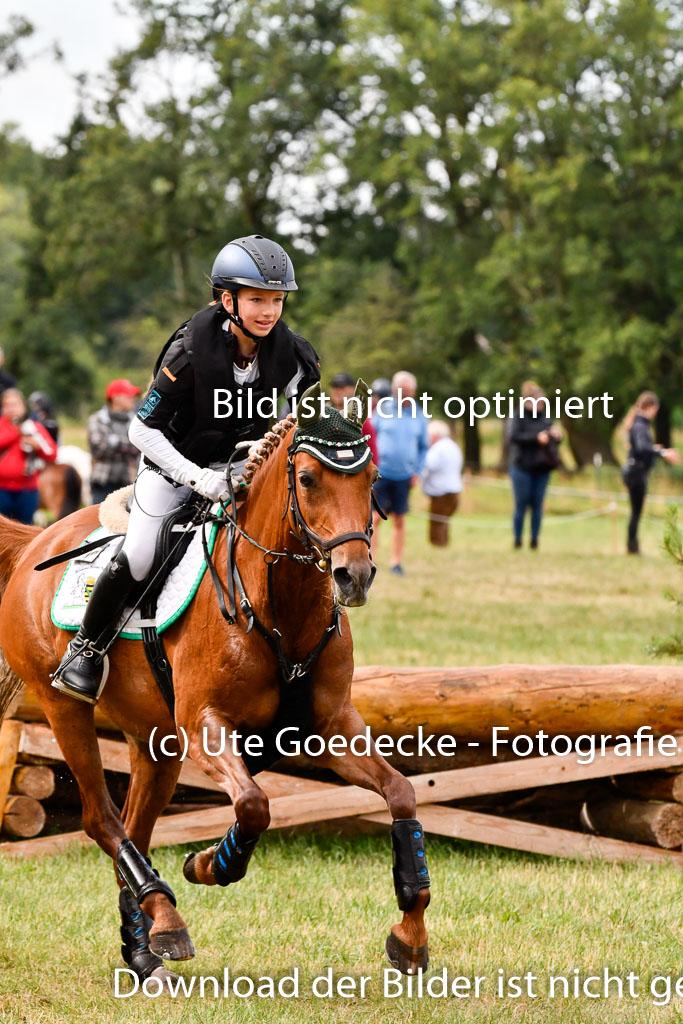 Goldene Schärpe Ponys in Hohenberg Krusemark 2024 | 13072024 Gelände 1 Abt_138