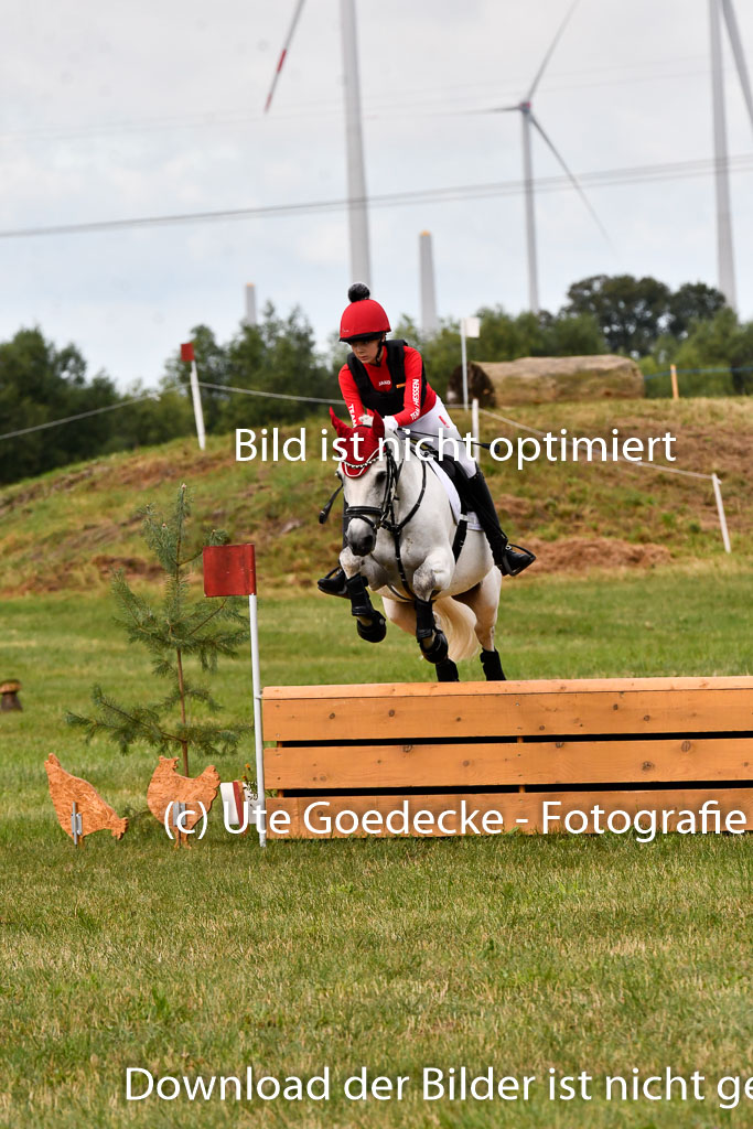 Goldene Schärpe Ponys in Hohenberg Krusemark 2024 | 13072024 Gelände 1 Abt_143