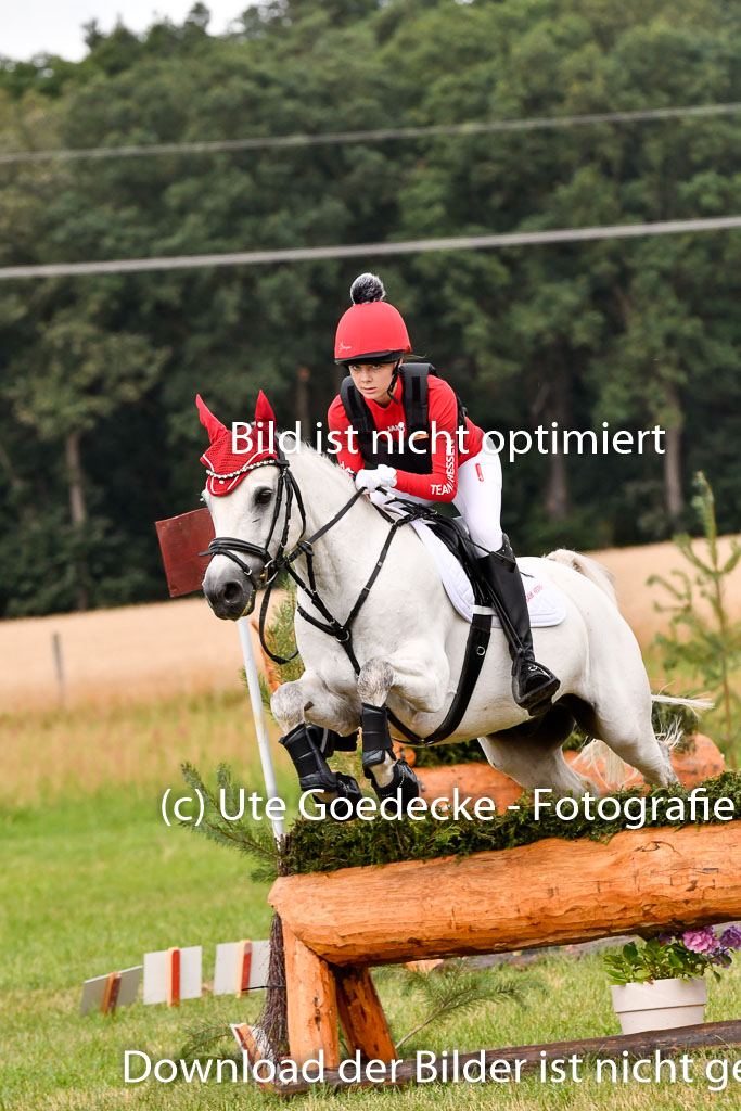 Goldene Schärpe Ponys in Hohenberg Krusemark 2024 | 13072024 Gelände 1 Abt_146