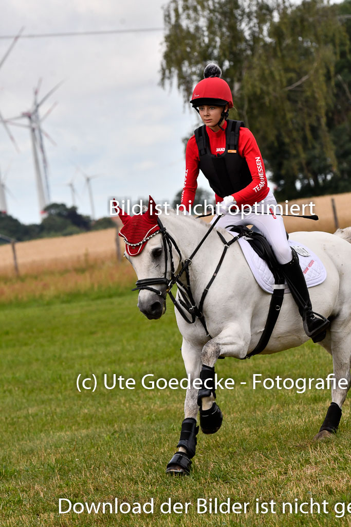 Goldene Schärpe Ponys in Hohenberg Krusemark 2024 | 13072024 Gelände 1 Abt_148 