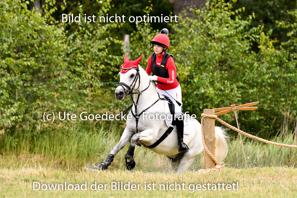 Goldene Schärpe Ponys in Hohenberg Krusemark 2024 | 13072024 Gelände 1 Abt_149