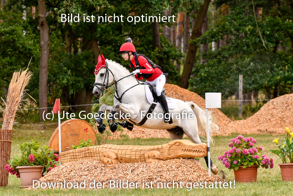 Goldene Schärpe Ponys in Hohenberg Krusemark 2024 | 13072024 Gelände 1 Abt_150 