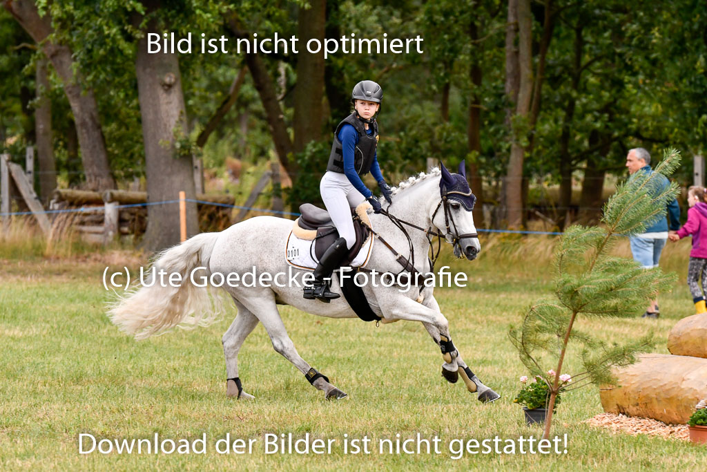 Goldene Schärpe Ponys in Hohenberg Krusemark 2024 | 13072024 Gelände 1 Abt_159