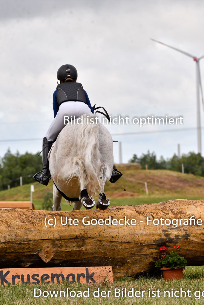 Goldene Schärpe Ponys in Hohenberg Krusemark 2024 | 13072024 Gelände 1 Abt_162 