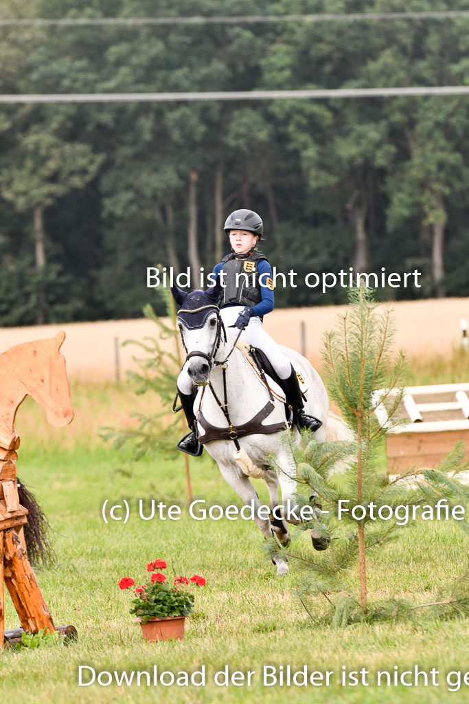 Goldene Schärpe Ponys in Hohenberg Krusemark 2024 | 13072024 Gelände 1 Abt_164