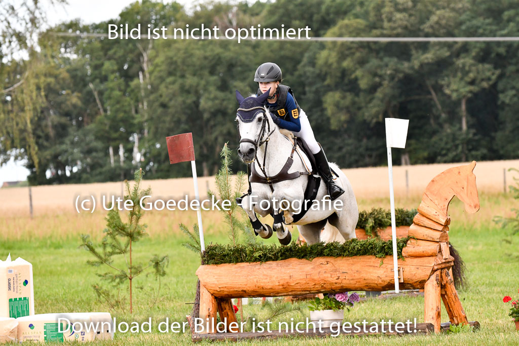 Goldene Schärpe Ponys in Hohenberg Krusemark 2024 | 13072024 Gelände 1 Abt_165 