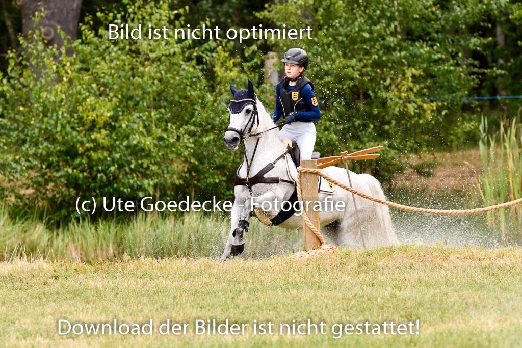Goldene Schärpe Ponys in Hohenberg Krusemark 2024 | 13072024 Gelände 1 Abt_166