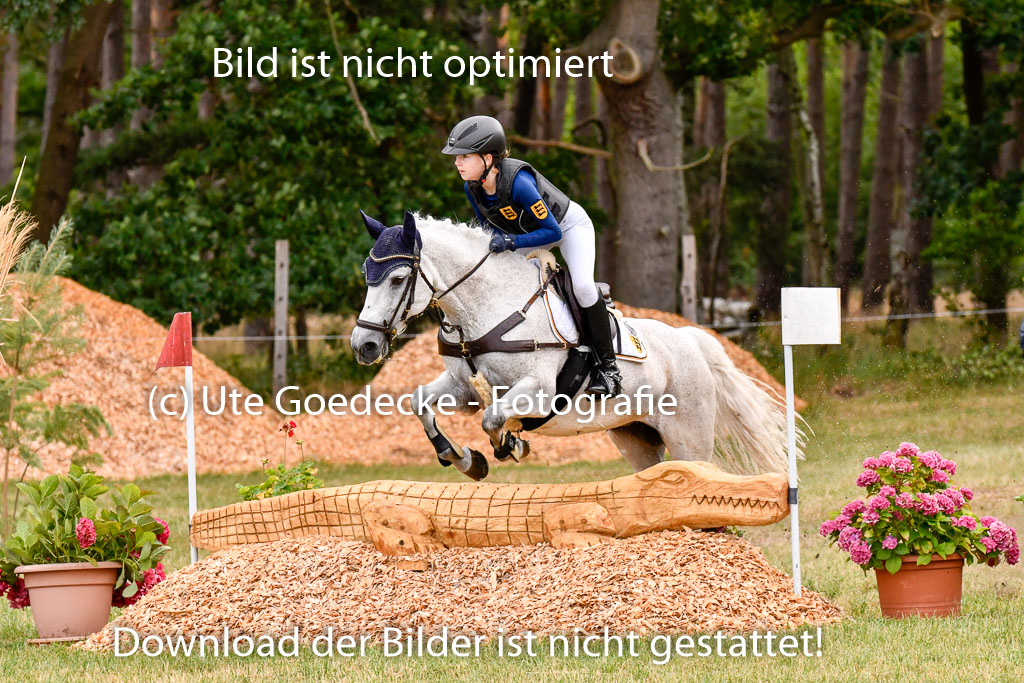 Goldene Schärpe Ponys in Hohenberg Krusemark 2024 | 13072024 Gelände 1 Abt_167