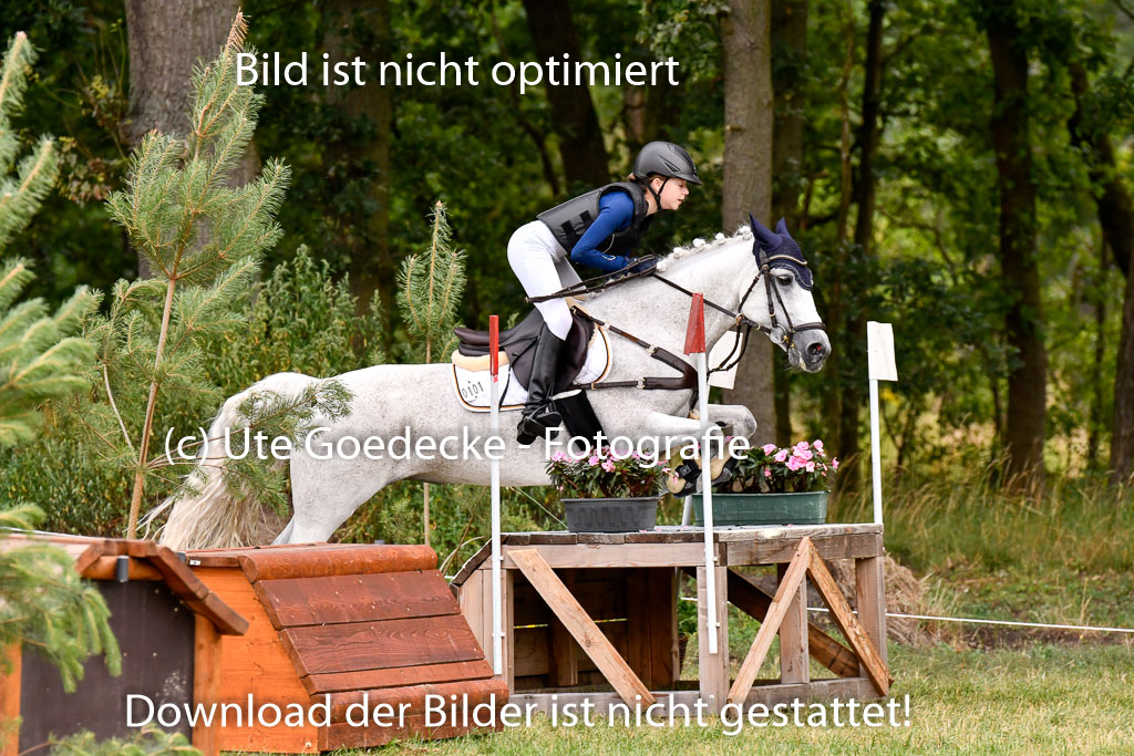 Goldene Schärpe Ponys in Hohenberg Krusemark 2024 | 13072024 Gelände 1 Abt_169