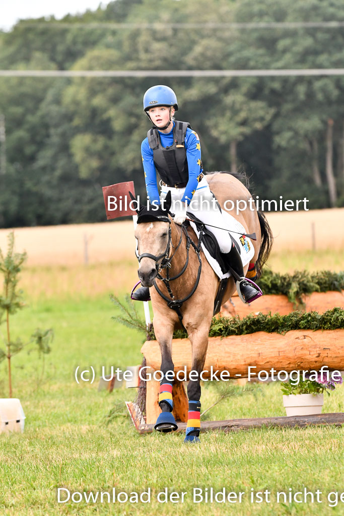 Goldene Schärpe Ponys in Hohenberg Krusemark 2024 | 13072024 Gelände 1 Abt_178