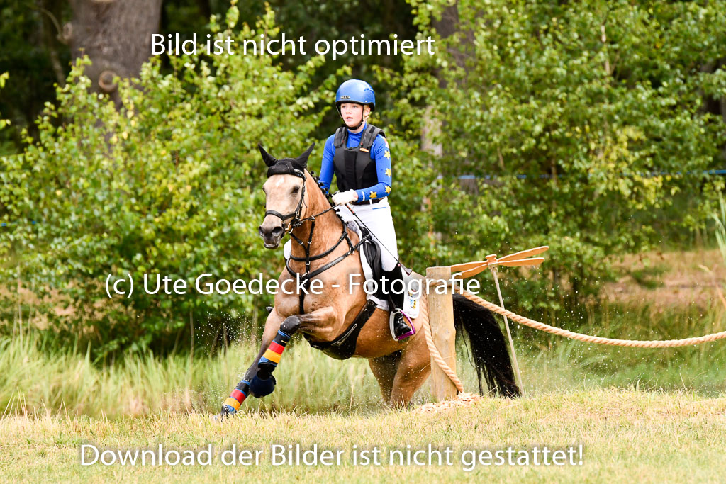 Goldene Schärpe Ponys in Hohenberg Krusemark 2024 | 13072024 Gelände 1 Abt_179 