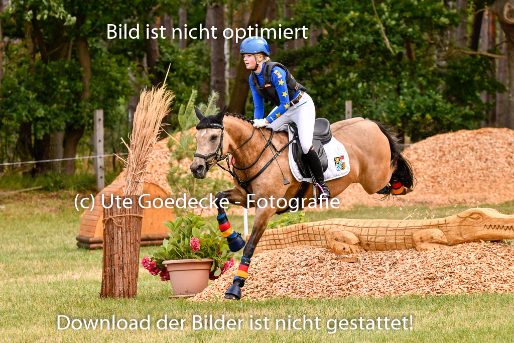 Goldene Schärpe Ponys in Hohenberg Krusemark 2024 | 13072024 Gelände 1 Abt_181