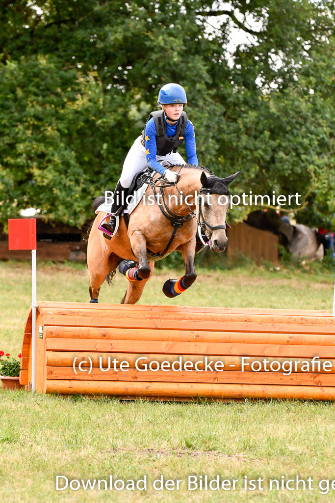 Goldene Schärpe Ponys in Hohenberg Krusemark 2024 | 13072024 Gelände 1 Abt_182 