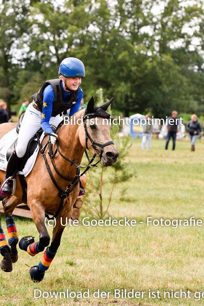 Goldene Schärpe Ponys in Hohenberg Krusemark 2024 | 13072024 Gelände 1 Abt_185 