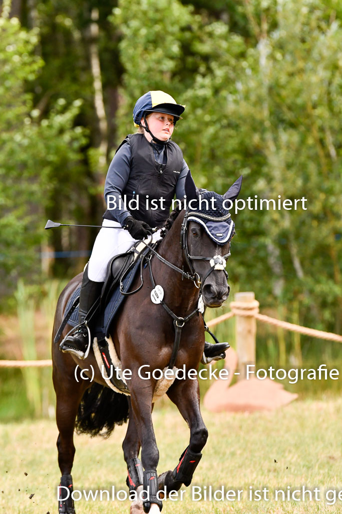 Goldene Schärpe Ponys in Hohenberg Krusemark 2024 | 13072024 Gelände 1 Abt_187 