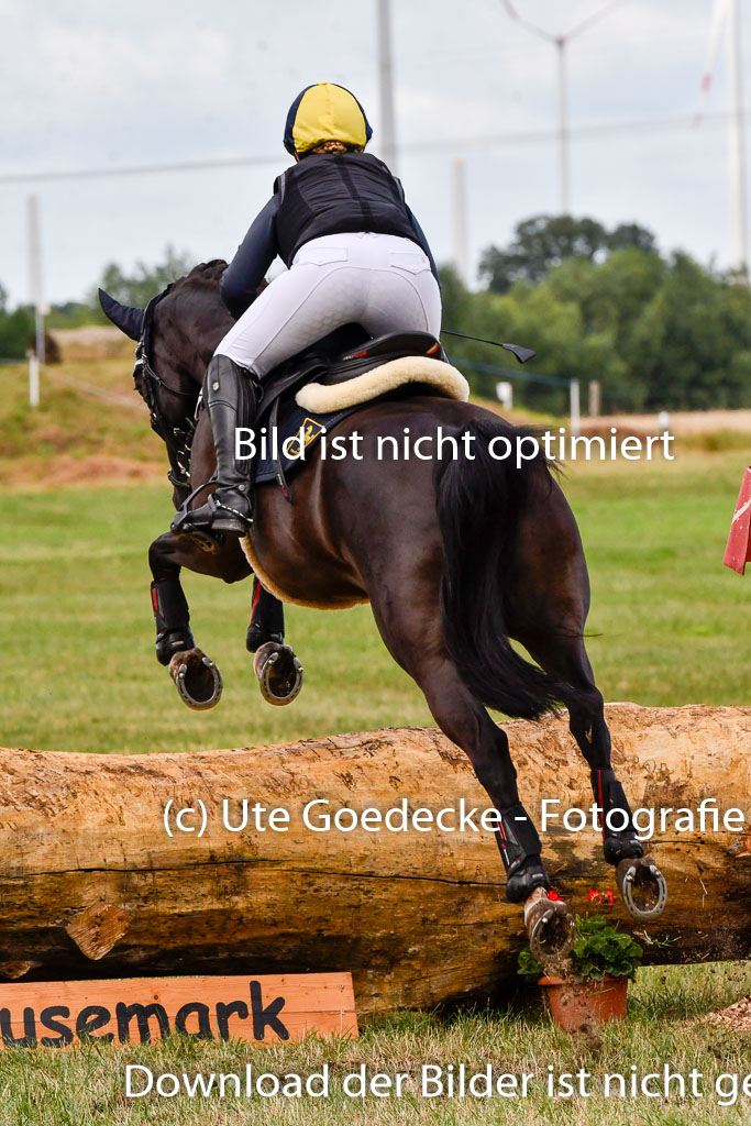 Goldene Schärpe Ponys in Hohenberg Krusemark 2024 | 13072024 Gelände 1 Abt_188