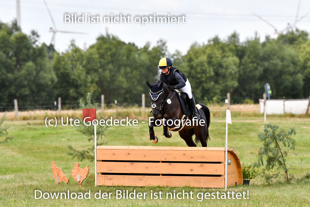 Goldene Schärpe Ponys in Hohenberg Krusemark 2024 | 13072024 Gelände 1 Abt_189 