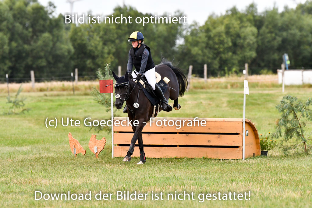 Goldene Schärpe Ponys in Hohenberg Krusemark 2024 | 13072024 Gelände 1 Abt_190