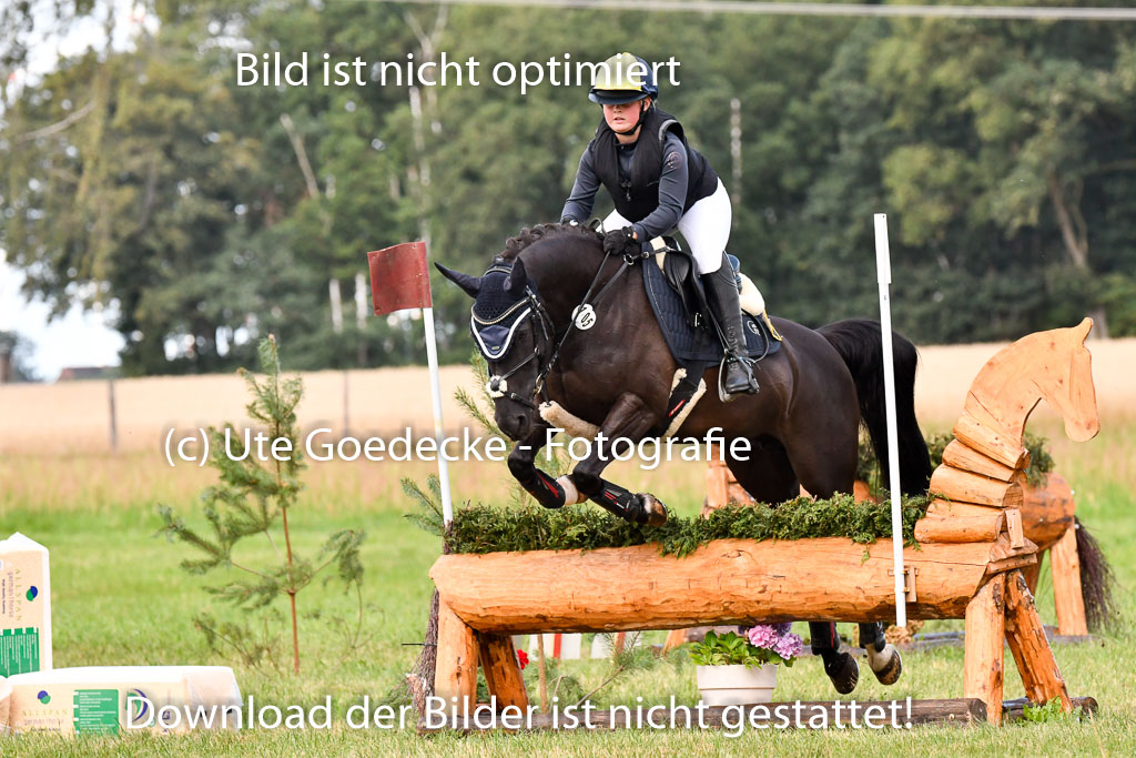 Goldene Schärpe Ponys in Hohenberg Krusemark 2024 | 13072024 Gelände 1 Abt_192