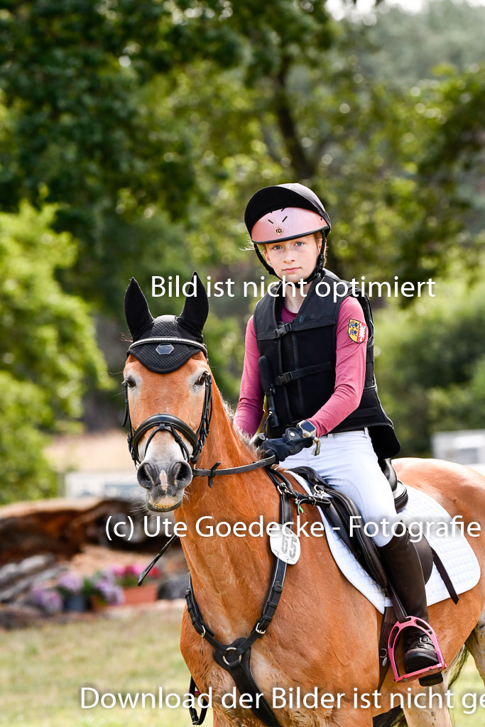 Goldene Schärpe Ponys in Hohenberg Krusemark 2024 | 13072024 Gelände 1 Abt_194