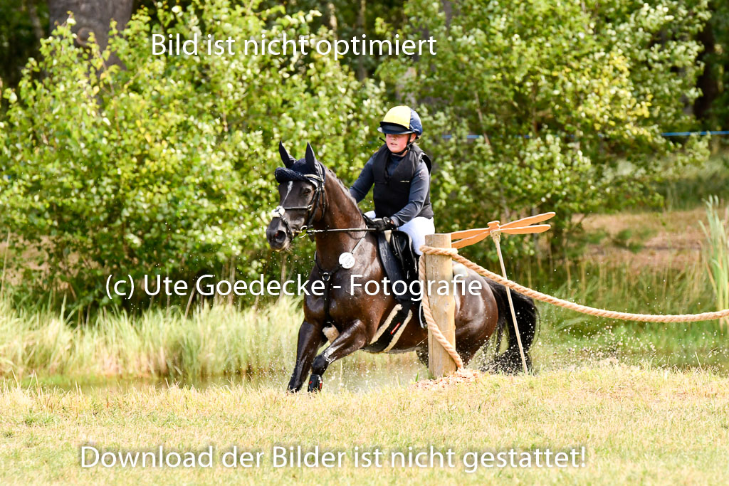 Goldene Schärpe Ponys in Hohenberg Krusemark 2024 | 13072024 Gelände 1 Abt_195