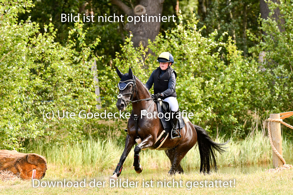 Goldene Schärpe Ponys in Hohenberg Krusemark 2024 | 13072024 Gelände 1 Abt_196