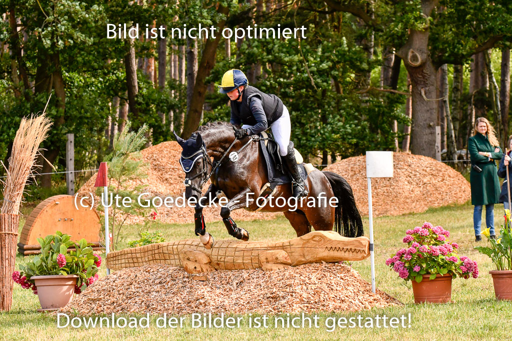 Goldene Schärpe Ponys in Hohenberg Krusemark 2024 | 13072024 Gelände 1 Abt_197
