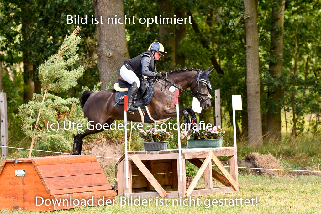 Goldene Schärpe Ponys in Hohenberg Krusemark 2024 | 13072024 Gelände 1 Abt_198