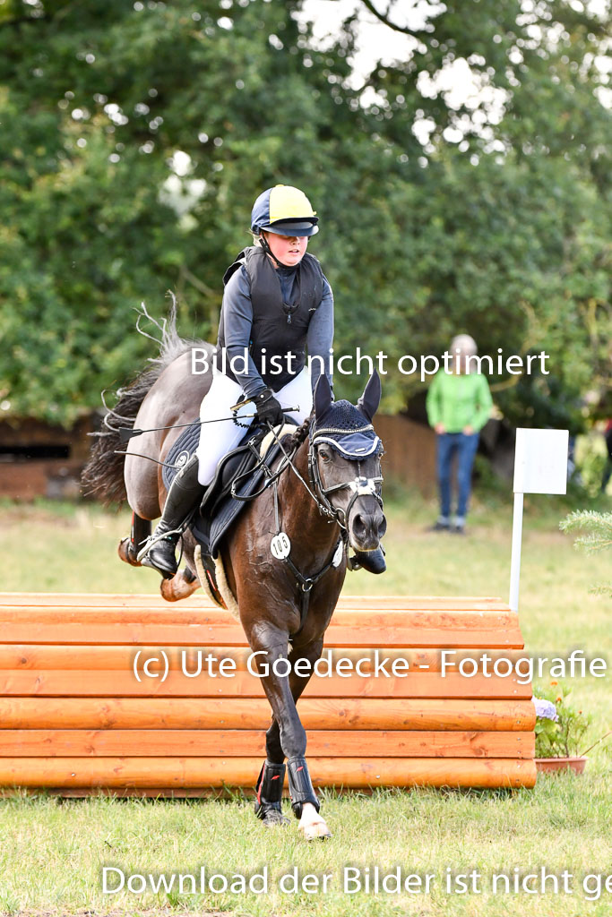Goldene Schärpe Ponys in Hohenberg Krusemark 2024 | 13072024 Gelände 1 Abt_201