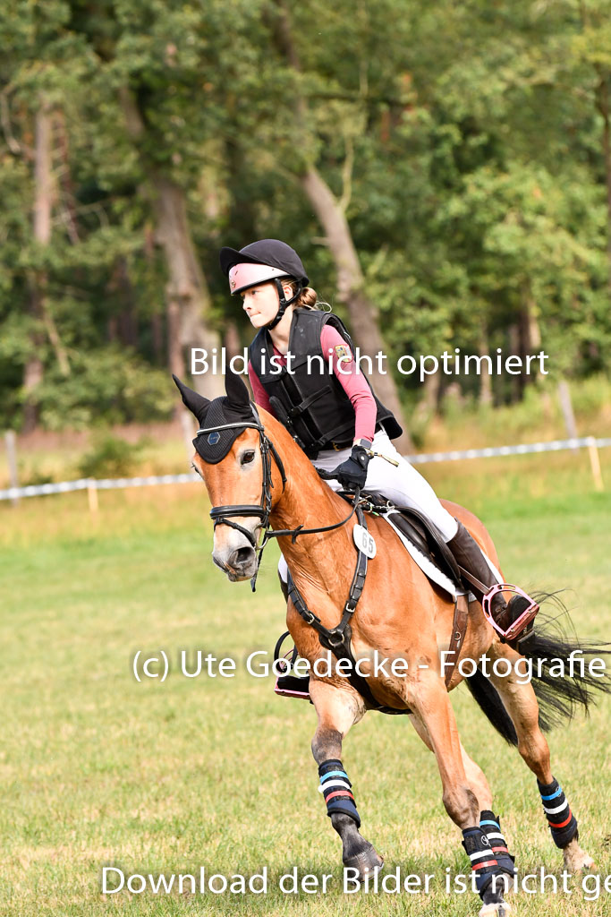 Goldene Schärpe Ponys in Hohenberg Krusemark 2024 | 13072024 Gelände 1 Abt_205