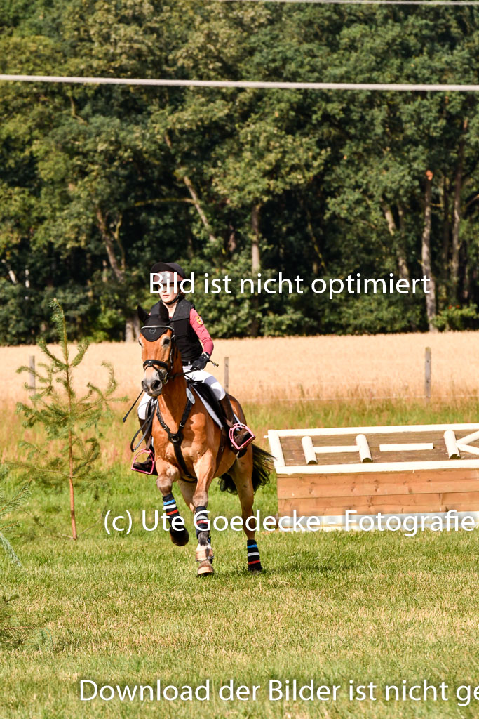 Goldene Schärpe Ponys in Hohenberg Krusemark 2024 | 13072024 Gelände 1 Abt_208 