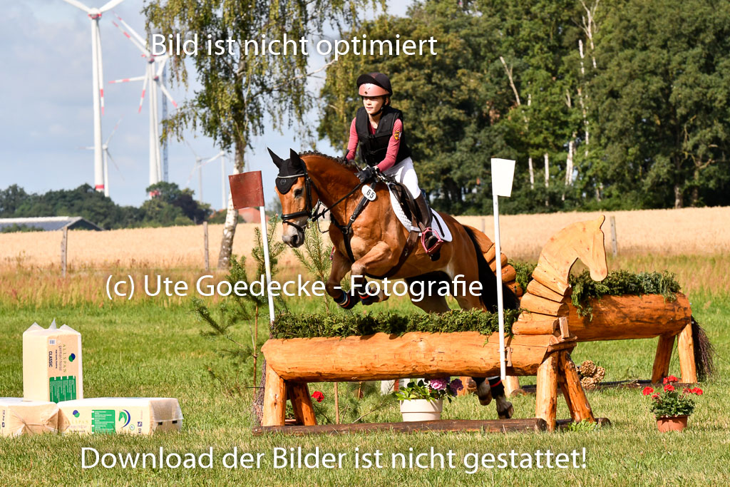 Goldene Schärpe Ponys in Hohenberg Krusemark 2024 | 13072024 Gelände 1 Abt_209