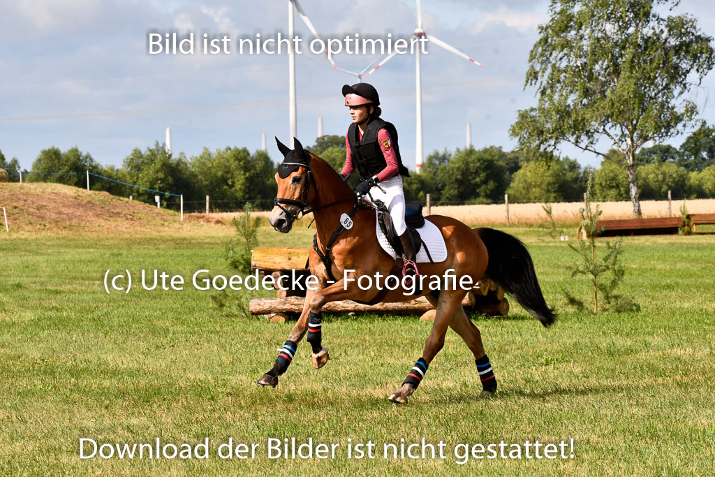Goldene Schärpe Ponys in Hohenberg Krusemark 2024 | 13072024 Gelände 1 Abt_211