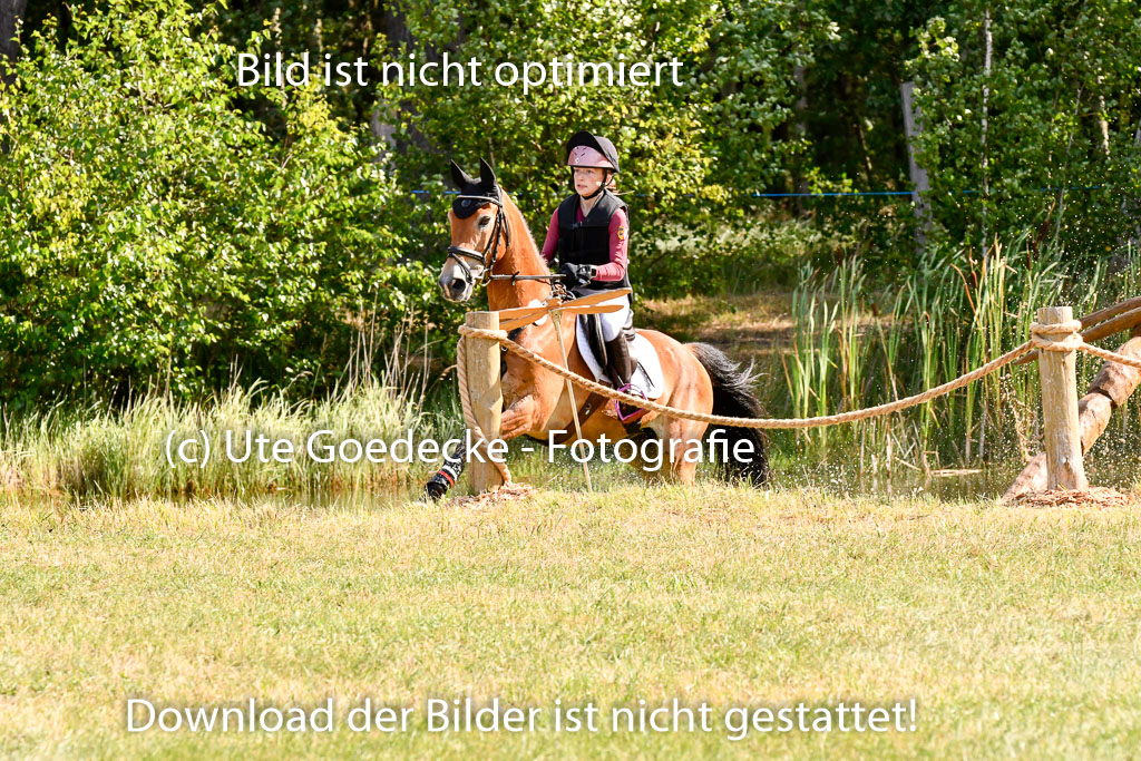 Goldene Schärpe Ponys in Hohenberg Krusemark 2024 | 13072024 Gelände 1 Abt_212