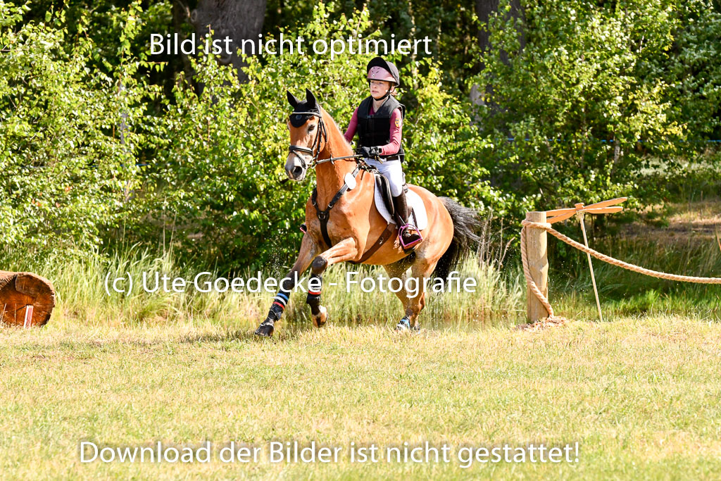 Goldene Schärpe Ponys in Hohenberg Krusemark 2024 | 13072024 Gelände 1 Abt_213
