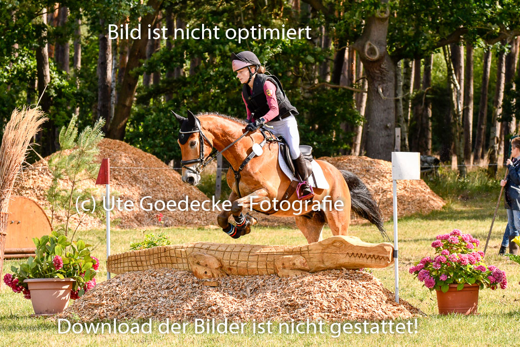 Goldene Schärpe Ponys in Hohenberg Krusemark 2024 | 13072024 Gelände 1 Abt_214