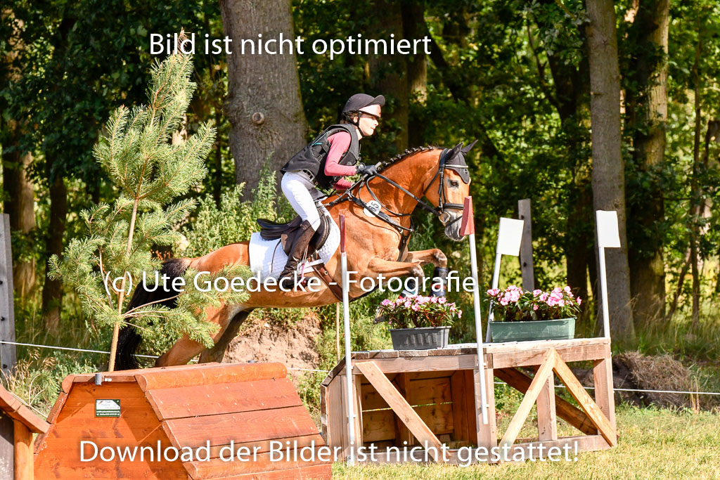 Goldene Schärpe Ponys in Hohenberg Krusemark 2024 | 13072024 Gelände 1 Abt_215