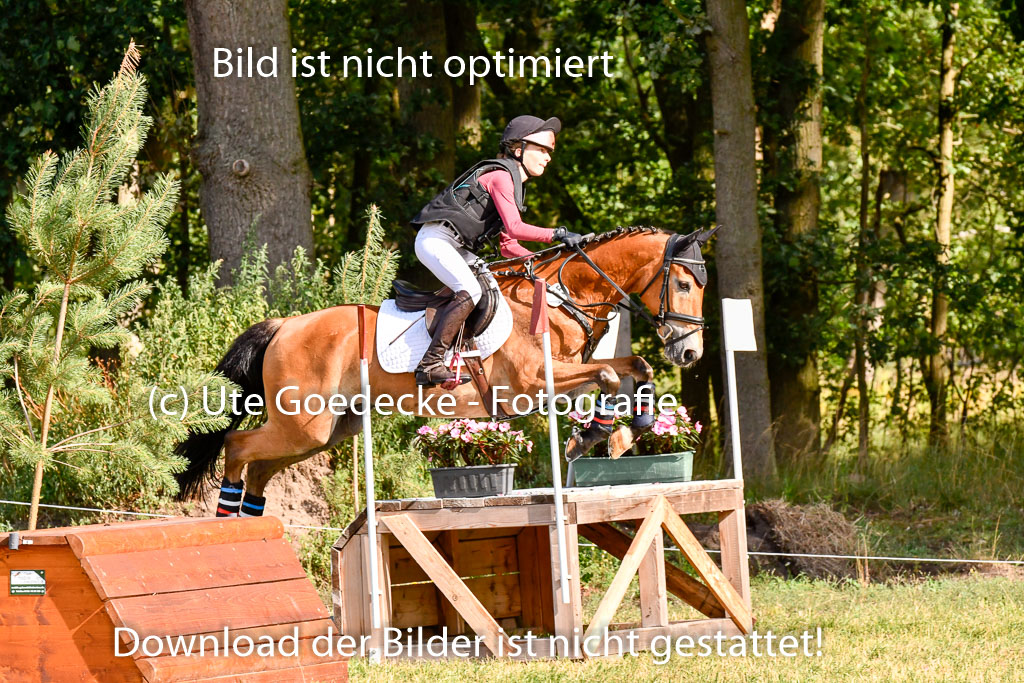 Goldene Schärpe Ponys in Hohenberg Krusemark 2024 | 13072024 Gelände 1 Abt_216