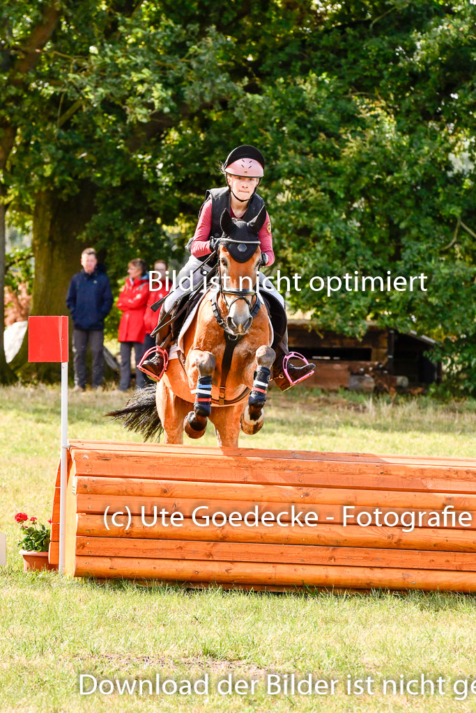 Goldene Schärpe Ponys in Hohenberg Krusemark 2024 | 13072024 Gelände 1 Abt_217 