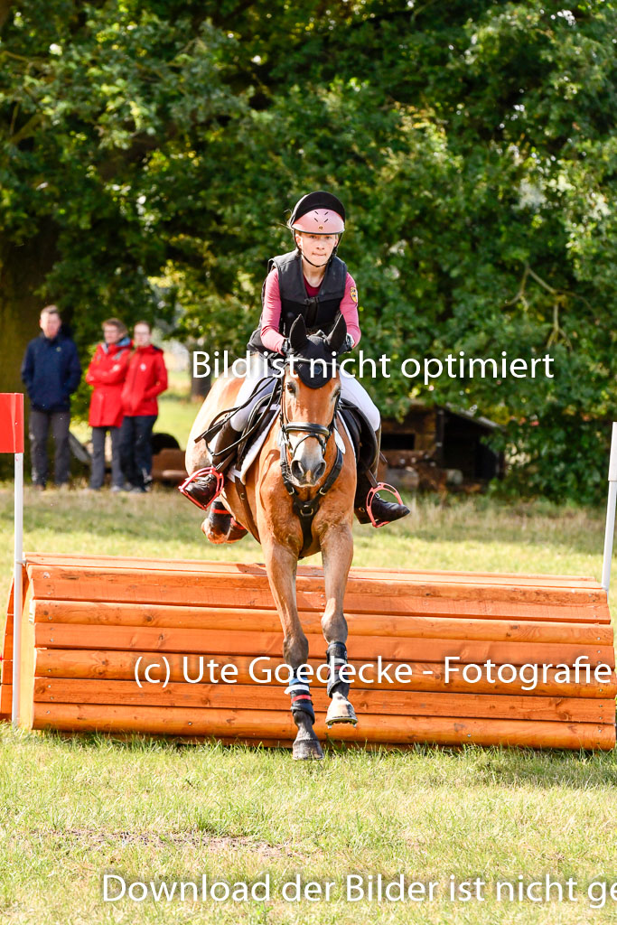 Goldene Schärpe Ponys in Hohenberg Krusemark 2024 | 13072024 Gelände 1 Abt_218