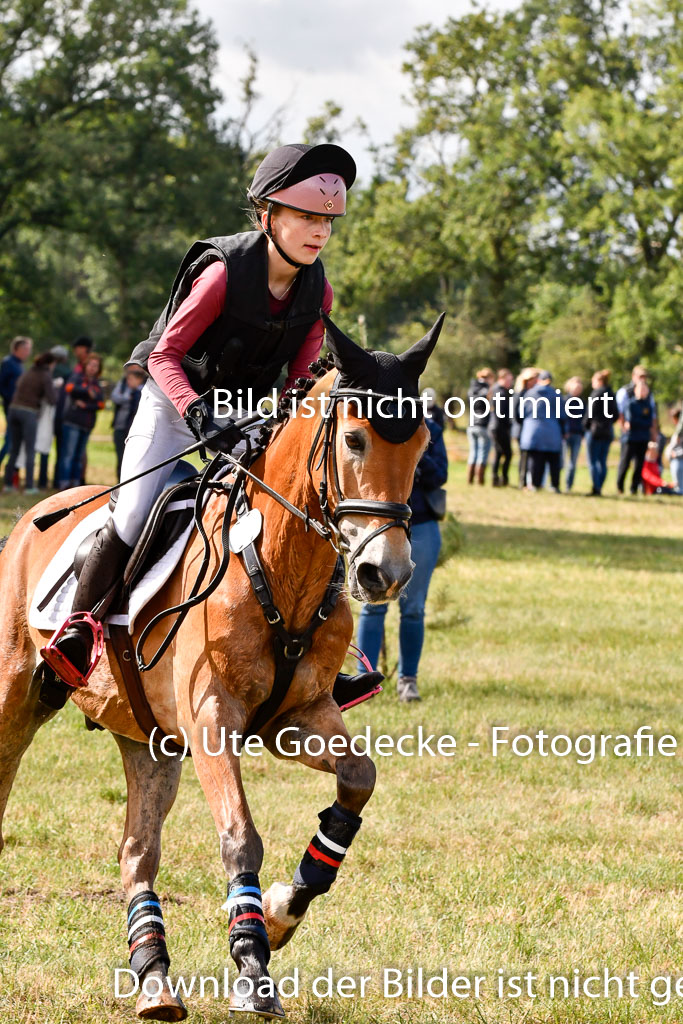 Goldene Schärpe Ponys in Hohenberg Krusemark 2024 | 13072024 Gelände 1 Abt_220