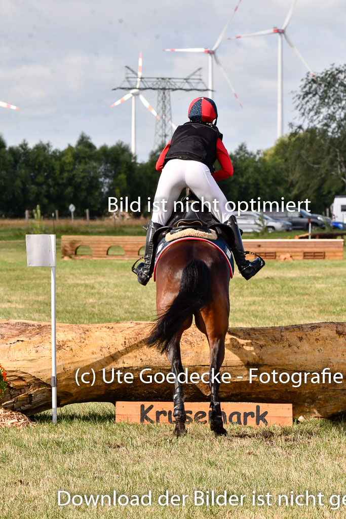 Goldene Schärpe Ponys in Hohenberg Krusemark 2024 | 13072024 Gelände 1 Abt_221