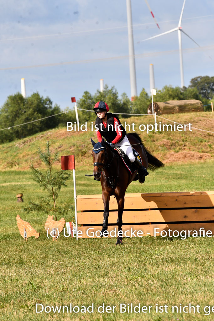 Goldene Schärpe Ponys in Hohenberg Krusemark 2024 | 13072024 Gelände 1 Abt_223 