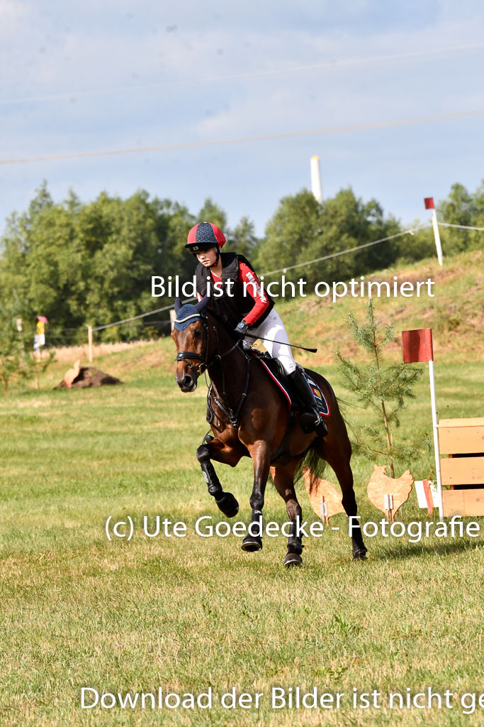 Goldene Schärpe Ponys in Hohenberg Krusemark 2024 | 13072024 Gelände 1 Abt_224